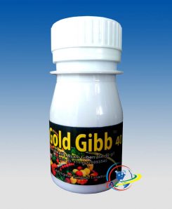 gold-gibb-40-sl-asam-giberalat